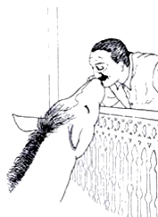 drawing of Baba and horse kissing 