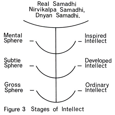 Figure 3 Stages of Intellect