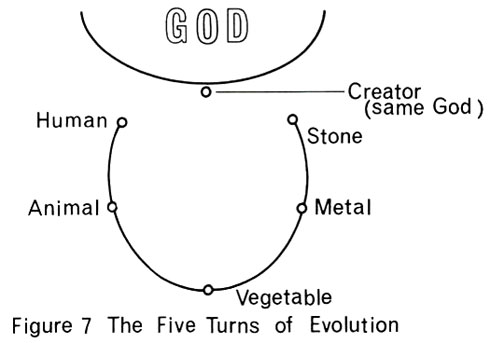 Figure 7 The Five Turns of Evolution